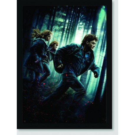 Quadro Poster Filme Harry Potter e as Reliquias da Morte 05
