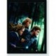 Quadro Poster Filme Harry Potter e as Reliquias da Morte 06