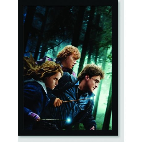 Quadro Poster Filme Harry Potter e as Reliquias da Morte 06