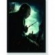 Quadro Poster Filme Harry Potter e as Reliquias da Morte 07