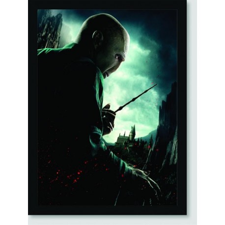 Quadro Poster Filme Harry Potter e as Reliquias da Morte 07