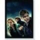 Quadro Poster Filme Harry Potter e as Reliquias da Morte 08