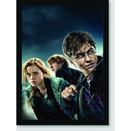 Quadro Poster Filme Harry Potter e as Reliquias da Morte 08