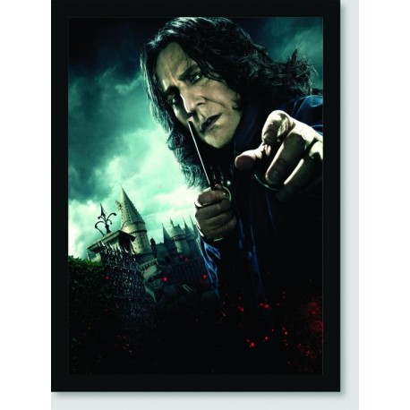 Quadro Poster Filme Harry Potter e as Reliquias da Morte 09
