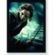 Quadro Poster Filme Harry Potter e as Reliquias da Morte 10