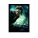 Quadro Poster Filme Harry Potter e as Reliquias da Morte 10