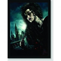 Quadro Poster Filme Harry Potter e as Reliquias da Morte 11