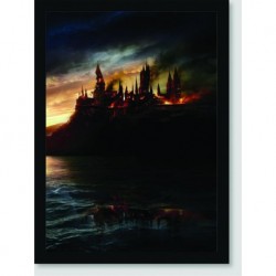 Quadro Poster Filme Harry Potter e as Reliquias da Morte 13
