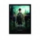 Quadro Poster Filme Harry Potter e as Reliquias da Morte 14