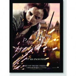Quadro Poster Filme Harry Potter e as Reliquias da Morte 15