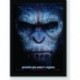 Quadro Poster Filme Planeta Dos Macacos
