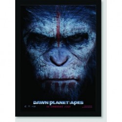 Quadro Poster Filme Planeta Dos Macacos
