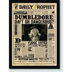 Quadro Poster Filme Harry Potter Jornal Dumbledore