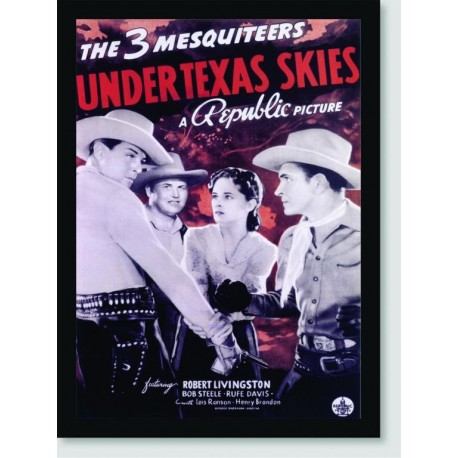 Quadro Poster Filme Under Texas Skies
