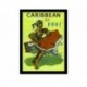 Quadro Poster Propaganda Caribbean Fly Boac