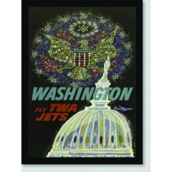 Quadro Poster Propaganda Washington Fly Twa