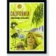 Quadro Poster Propaganda California Fly American Airlines