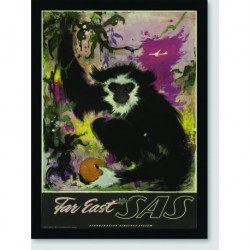 Quadro Poster Propaganda Far East Fly Sas