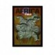 Quadro Poster Propaganda Africa Fly Twa