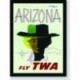 Quadro Poster Propaganda Arizona Fly Twa