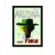 Quadro Poster Propaganda Arizona Fly Twa