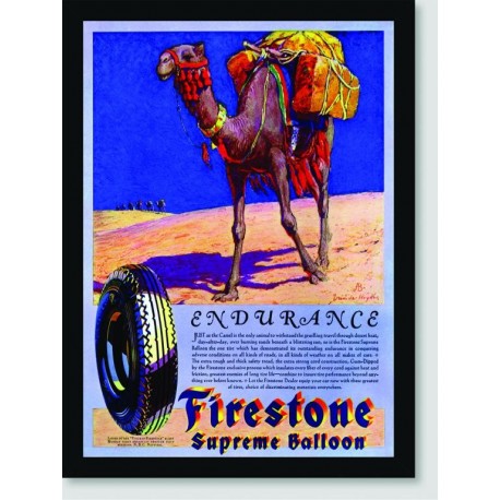 Quadro Poster Propaganda Firestone Supreme Balloon