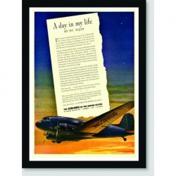 Quadro Poster Propaganda The Airlines Of The United States