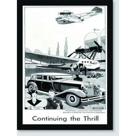 Quadro Poster Propaganda Amphibians By Issota Fraschini