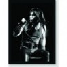Quadro Poster Personalidades Bruce Dickinson