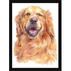Quadro Poster Animais Cachorro 3475