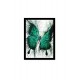 Quadro Poster Animais Borboleta 3483