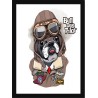 Quadro Poster Animais Cachorro 3501