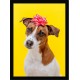 Quadro Poster Animais Cachorro 3513