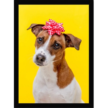 Quadro Poster Animais Cachorro 3513
