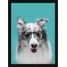 Quadro Poster Animais Cachorro 3514