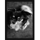 Quadro Poster Animais Cachorro 3518