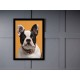 Quadro Poster Animais Cachorro 3521