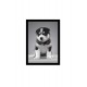 Quadro Poster Animais Cachorro 3524