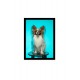 Quadro Poster Animais Cachorro 3526