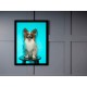 Quadro Poster Animais Cachorro 3526