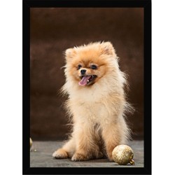 Quadro Poster Animais Cachorro 3529