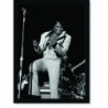 Quadro Poster Grandes Nomes da Música James Brown 2