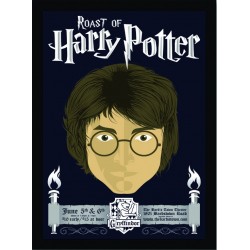 Quadro Poster Harry Potter 4316