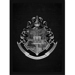 Quadro Poster Harry Potter 4323