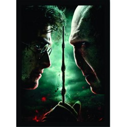 Quadro Poster Harry Potter 4324