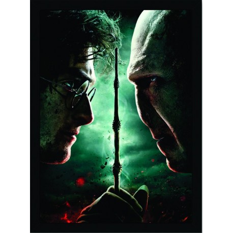 Quadro Poster Harry Potter 4324
