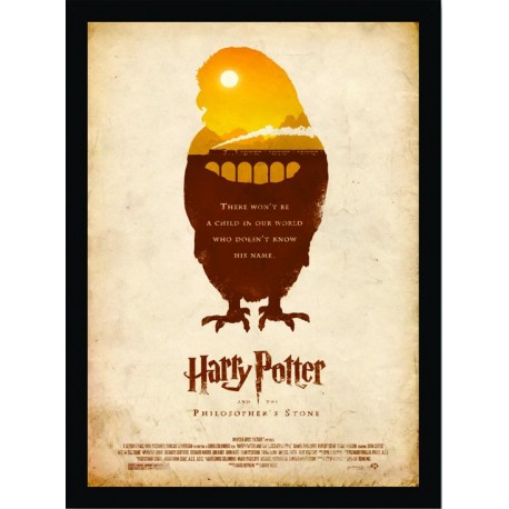 Quadro Poster Harry Potter 4327