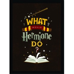 Quadro Poster Harry Potter 4328