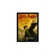 Quadro Poster Harry Potter 4329