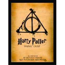 Quadro Poster Harry Potter 4330
